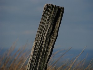 fencepost A fence post, recently