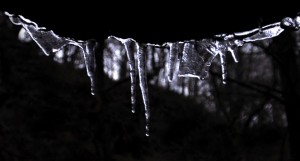 icicles Icicles